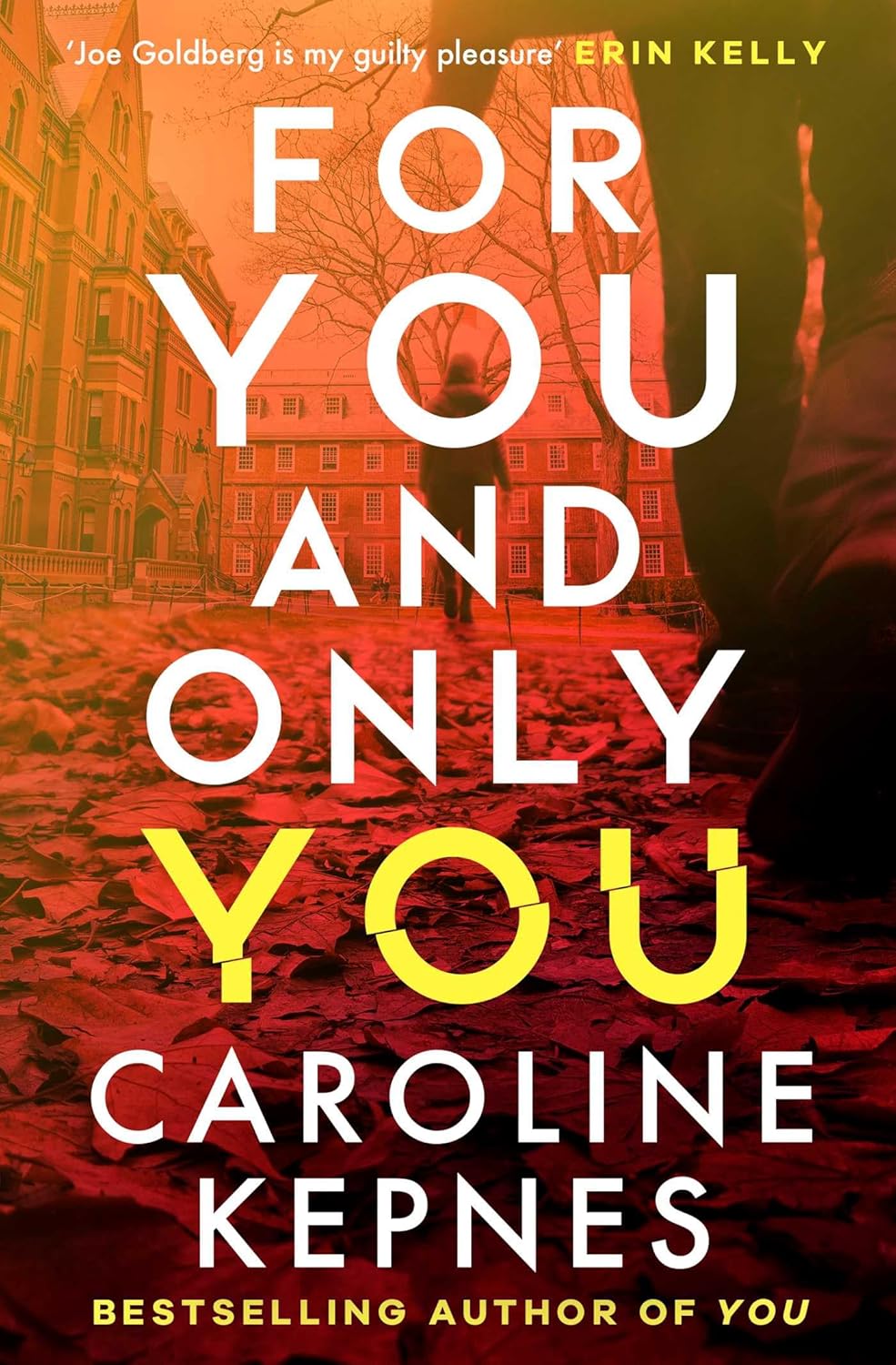 For You And Only You: The addictive new thriller in the YOU series, now a hit Netflix show