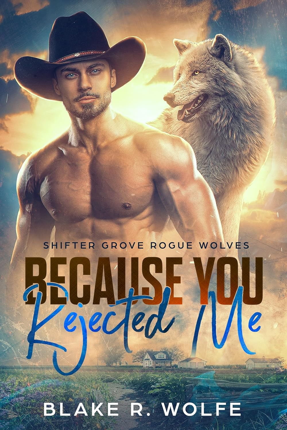 Because You Rejected Me: Gay Shifter Small Town Paranormal Romance (Shifter Grove Rogue Wolves Book 1) (English Edition)