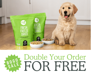 Pet supplies ( IM