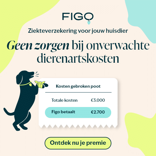 Pet insurance (Aw)