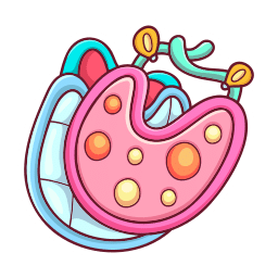 Baby accessories