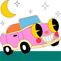 Auto Interior Accessories